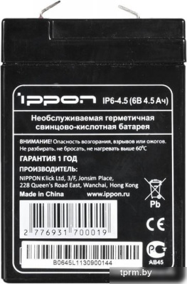 Картинка Аккумулятор для ИБП IPPON IP 6-4.5 (6В/4.5 А·ч) APCmarket.by APCmarket