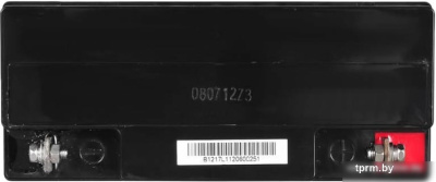 Картинка IPPON IP12-17 (12В/17 А·ч) APCmarket.by APCmarket